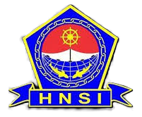 Logo HNSI